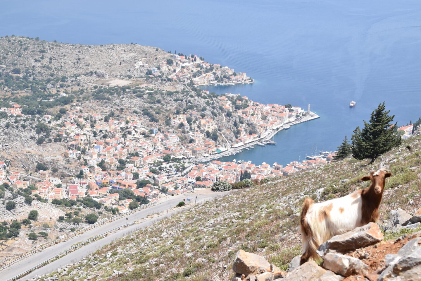 Uitzicht op Symi